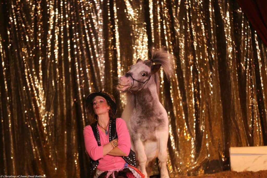 14680925_353251918356208_4834465693495892397_o