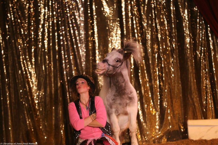 14680925_353251918356208_4834465693495892397_o