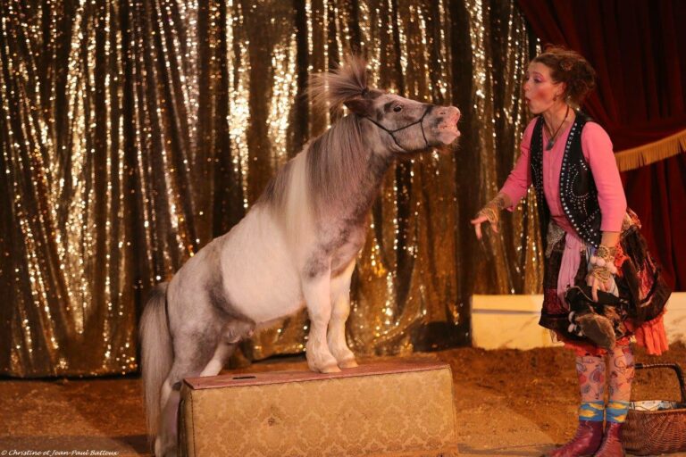 14707929_353251805022886_2641271825901436194_o