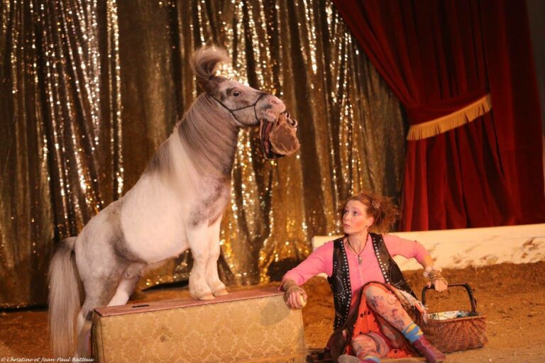 14711024_353251711689562_4400018220739107025_o