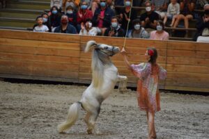 Cabré lamballe2à