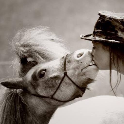 Aurore faisant un bisous a Tazia son poney accueil-compagnie-spectacle-théâtre